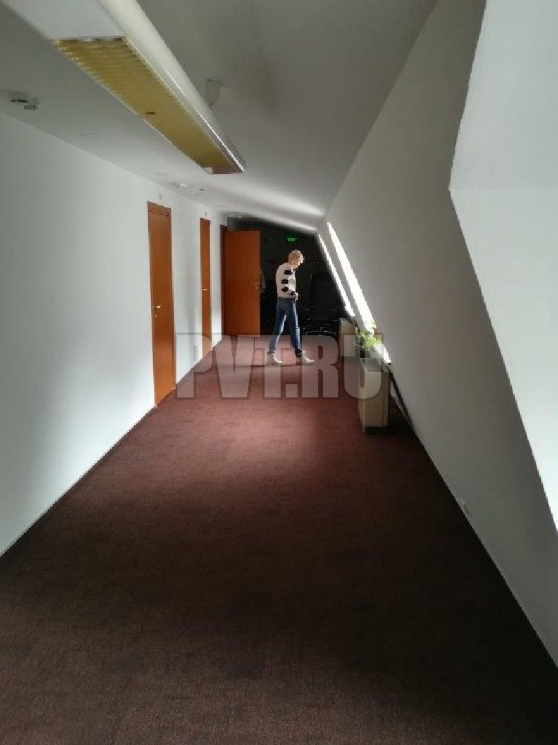 Б. Палашевский, 11с2 